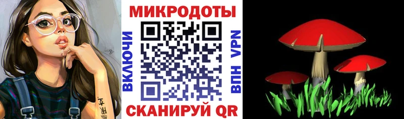 Галлюциногенные грибы Magic Shrooms Кумертау